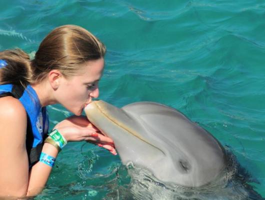 Spatur Viagens e Turismo