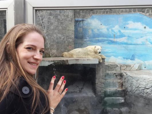 Diana Santini  / Mendoza e Santiago