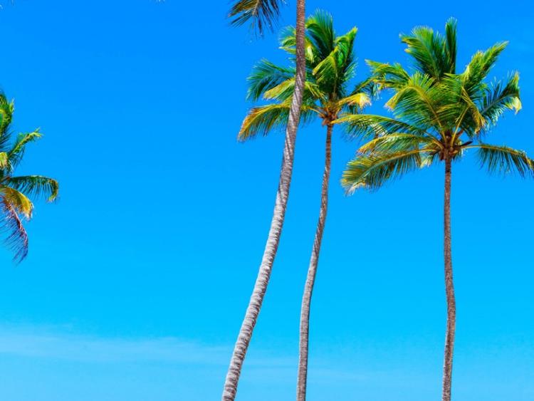 Punta Cana IStock 694937552   Menor