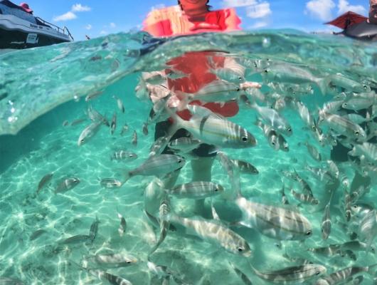 Luciane, Elcio e Pedro / Natal