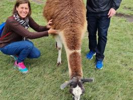 Celita e Jandir  / Peru