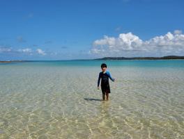  Shou  / Fernando de Noronha