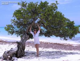 Taciana G. Bavaresco / Aruba