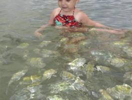 Alice Braun / Porto Seguro