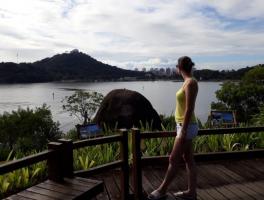 Monica Gotardo = Vitória / ES