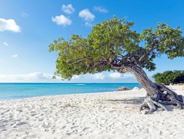 Spatur Viagens e Turismo