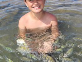  Júlio  / Porto Seguro