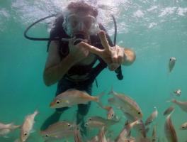 Leonardo - Natal /RN