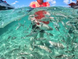 Luciane, Elcio e Pedro / Natal